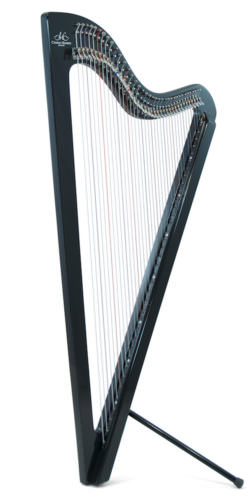Electrická Paraguayská harfa, ebenová úprava
